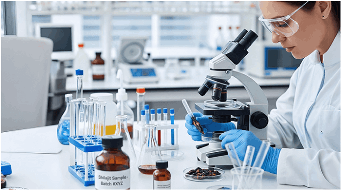 neural revive research